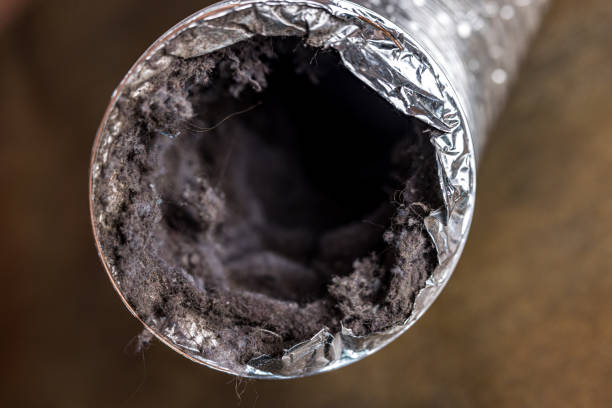 Best Best Air Duct Cleaning Company  in Amador Pines, CA
